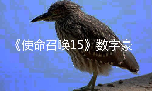 唤1豪华版上命召加强架X价9元使数字商城 售