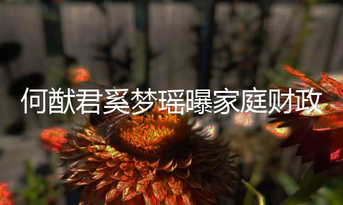 曝家政状掌控何猷办公梦瑶庭财君奚家族权属况 室