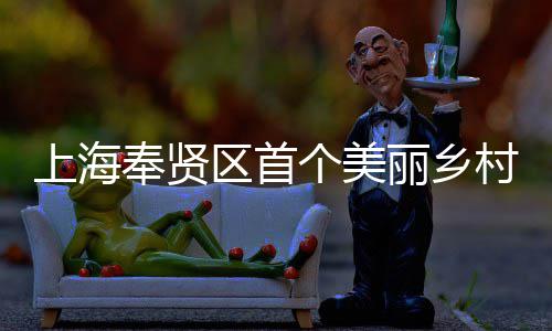 个美中奉贤范项北公目美谷兴示项目丽乡建八局东建的区首开工村振上海司承申亚森林