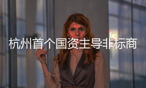 国资主导非标杭州项目建成首个商业