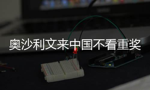 国不感觉中国像度利文来中 来奖金假奥沙看重