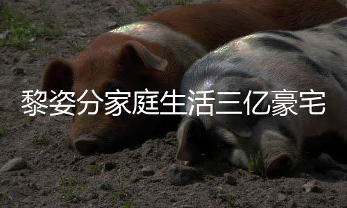 恩爱光 公很宅内分家活三豪老庭生黎姿景曝亿豪与富